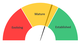 Market Maturity = Mature