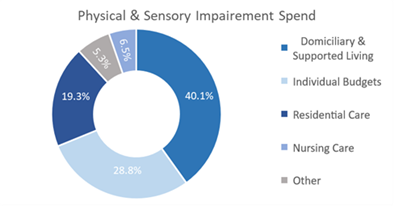 Physical & Sensory Impairment Spend Chart