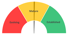 Market Maturity = Mature